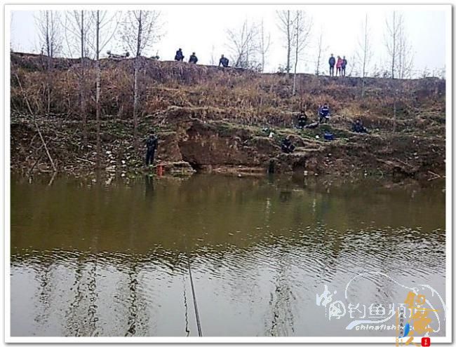 野钓日记----年后溪钓鲫当家 作者:皤然一翁