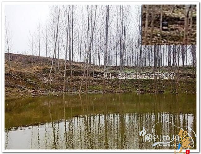 野钓日记----年后溪钓鲫当家 作者:皤然一翁