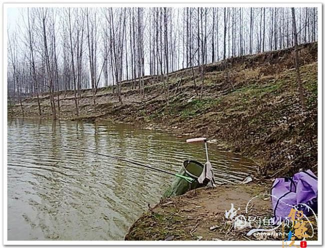 野钓日记----年后溪钓鲫当家 作者:皤然一翁