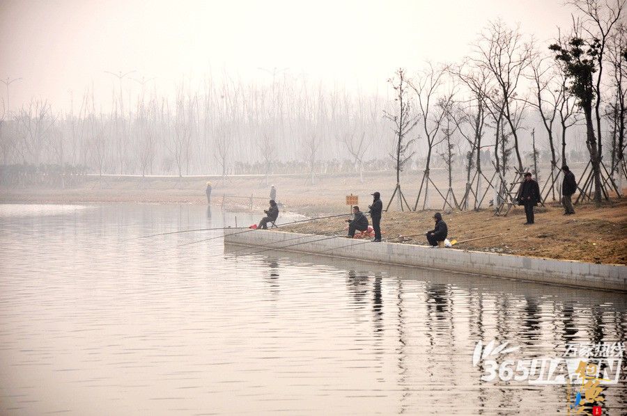 合肥塘西河美景美不胜收游人纷纷来河边垂钓