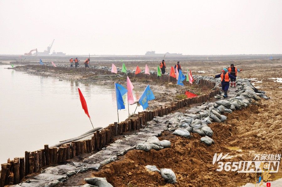 合肥塘西河美景美不胜收游人纷纷来河边垂钓