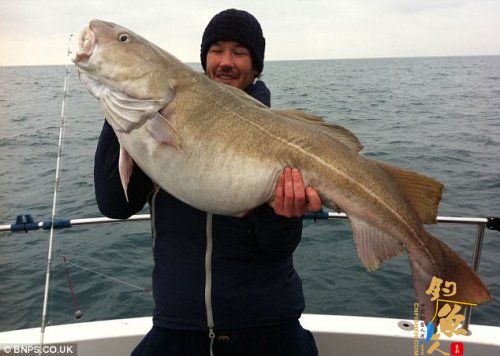 英国男子钓上重40斤大鳕鱼，可正常食用两周