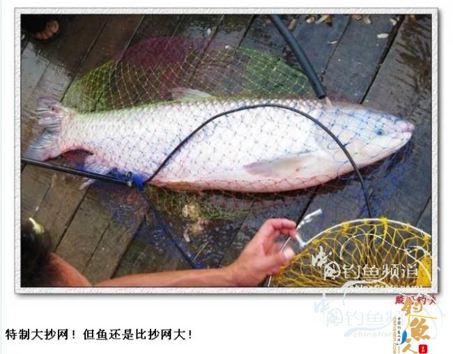 牌落生人手、守株待兔”与钓鱼有一毛钱的关系吗？