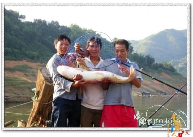 牌落生人手、守株待兔”与钓鱼有一毛钱的关系吗？