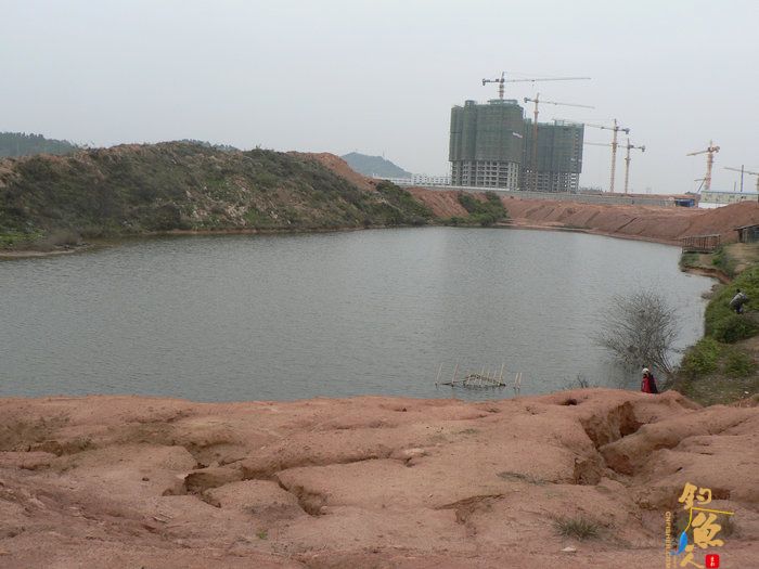 探钓火车站野塘 作者：无敌钓鱼佬