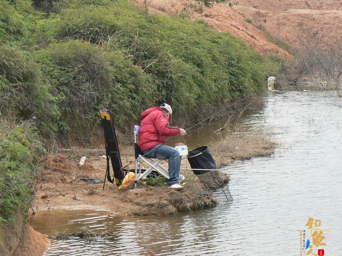探钓火车站野塘 作者：无敌钓鱼佬