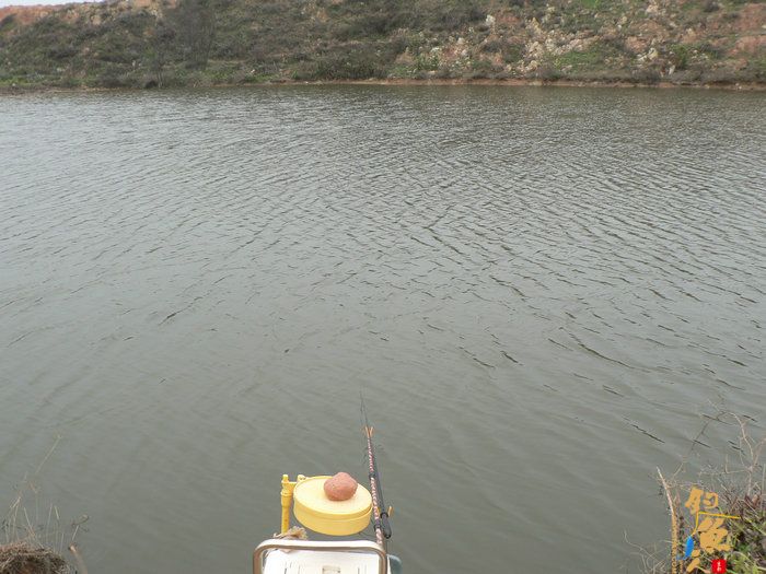 探钓火车站野塘 作者：无敌钓鱼佬