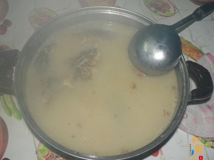 探钓火车站野塘 作者：无敌钓鱼佬