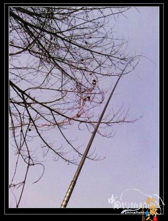 长竿短线的魅力(10)——跋涉 * 魔咒 * 穿越