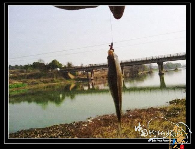 长竿短线的魅力(10)——跋涉 * 魔咒 * 穿越