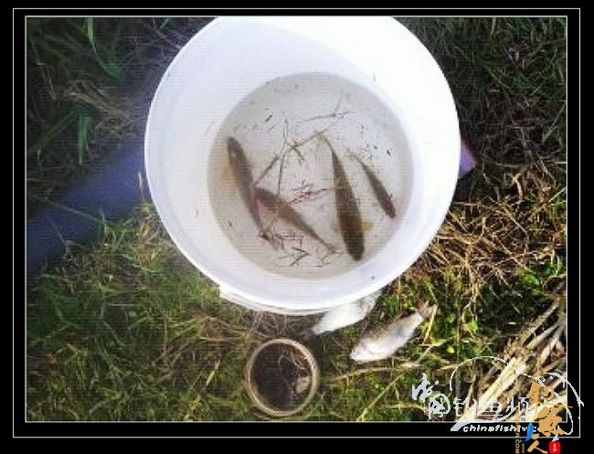 长竿短线的魅力(10)——跋涉 * 魔咒 * 穿越