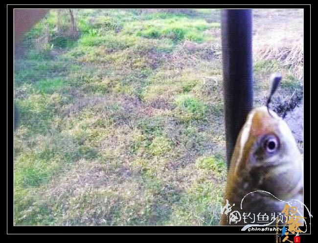 长竿短线的魅力(10)——跋涉 * 魔咒 * 穿越