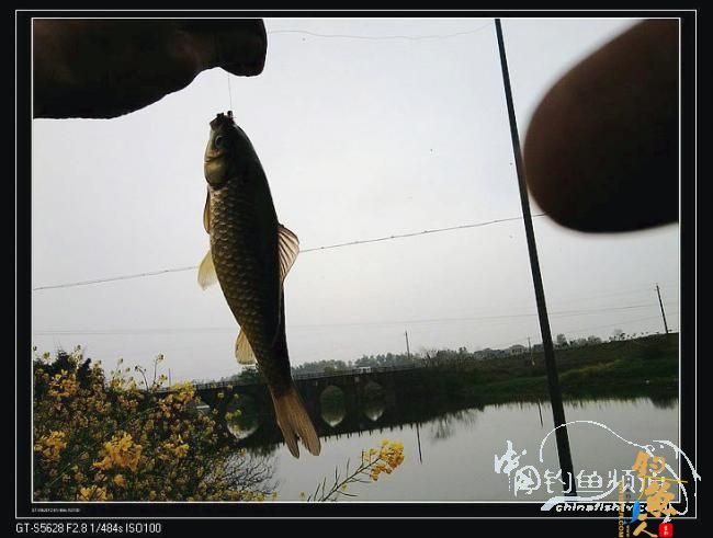 长竿短线的魅力(10)——跋涉 * 魔咒 * 穿越