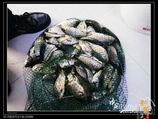 长竿短线的魅力(10)——跋涉 * 魔咒 * 穿越