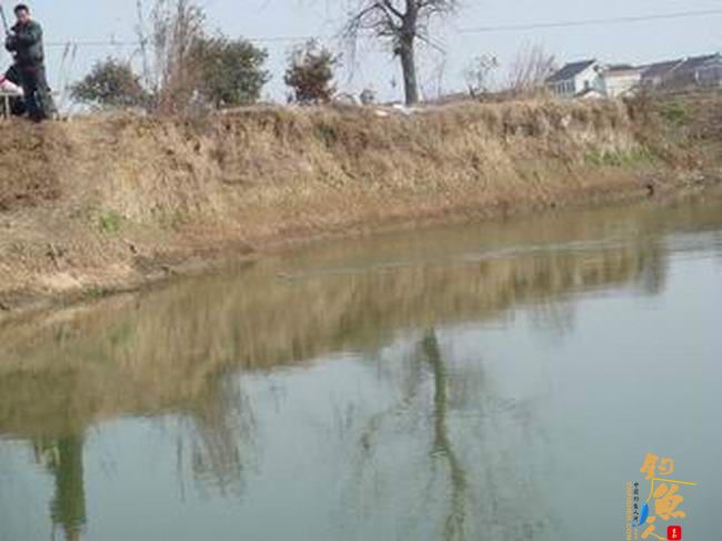 江南渔事——春钓片：初春与大鳊有个约会