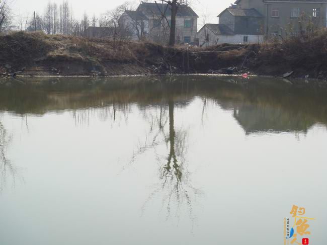 江南渔事——春钓片：初春与大鳊有个约会