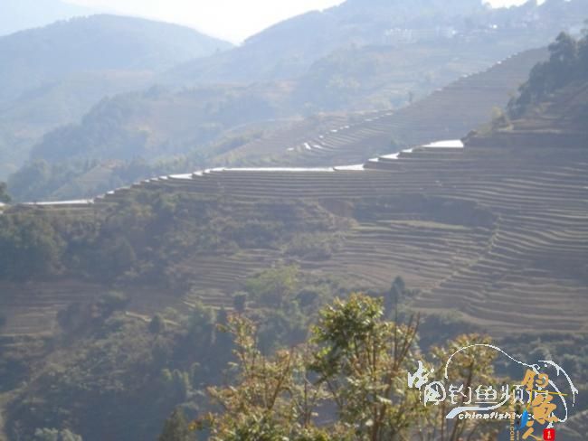 麻将非扑克非肆虐坝拦河 渔专子老二叔败走泗南江