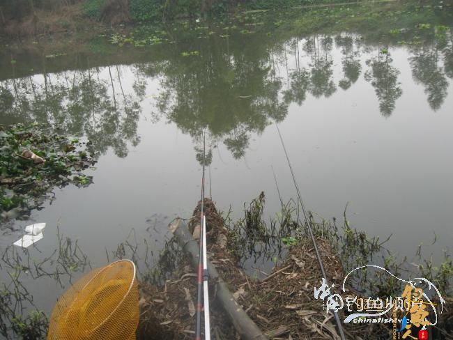 2012.2.21新桥野钓作业 作者：la02553