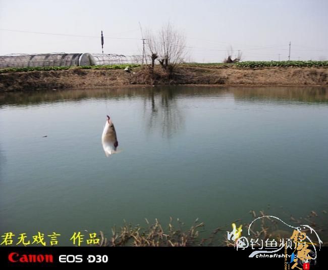 半日小钓也是乐 作者：君无戏言