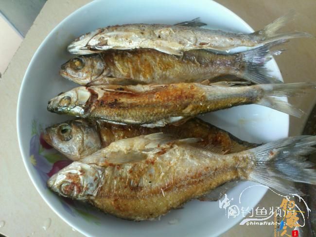 幸福生活~从吃鱼开始 作者：玫瑰小鱼