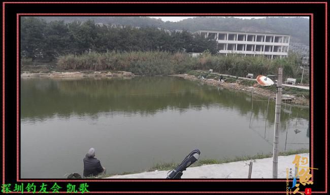 2012009 龟神不龟 龟声一片 次日再战 作者：paeanism