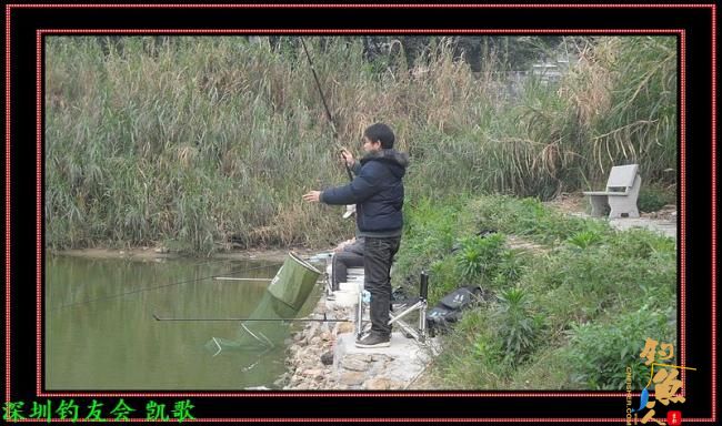 2012009 龟神不龟 龟声一片 次日再战 作者：paeanism