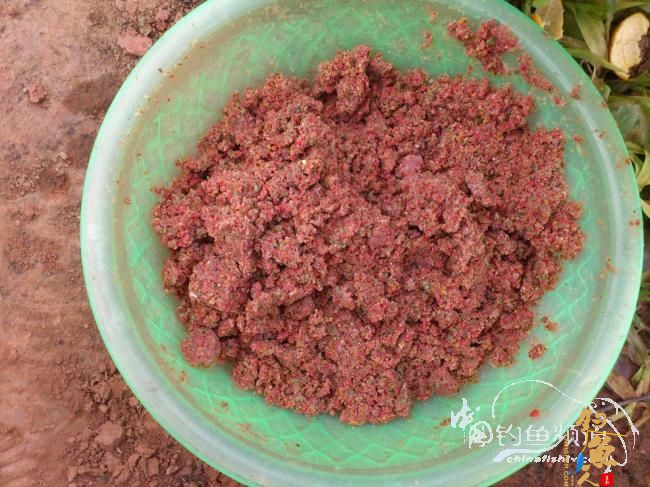 野钓小河~疯狂的土鲫 作者：玫瑰小鱼