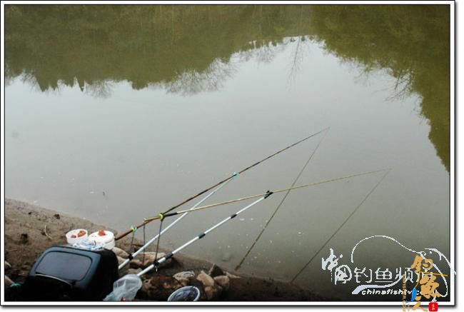 上午三草棍 下午一弯刀 作者：我要去追风