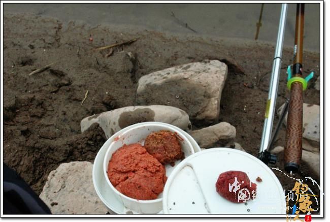 上午三草棍 下午一弯刀 作者：我要去追风