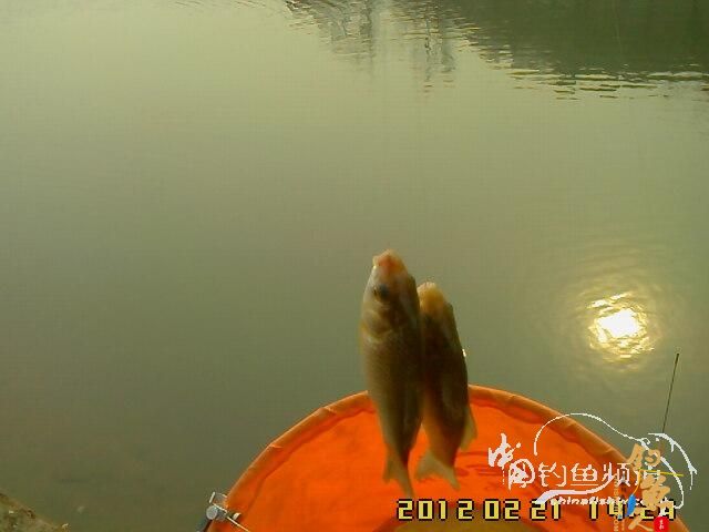 龙年的第一次 作者：逍遥子123456 