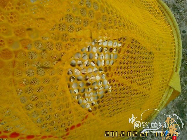 龙年的第一次 作者：逍遥子123456 