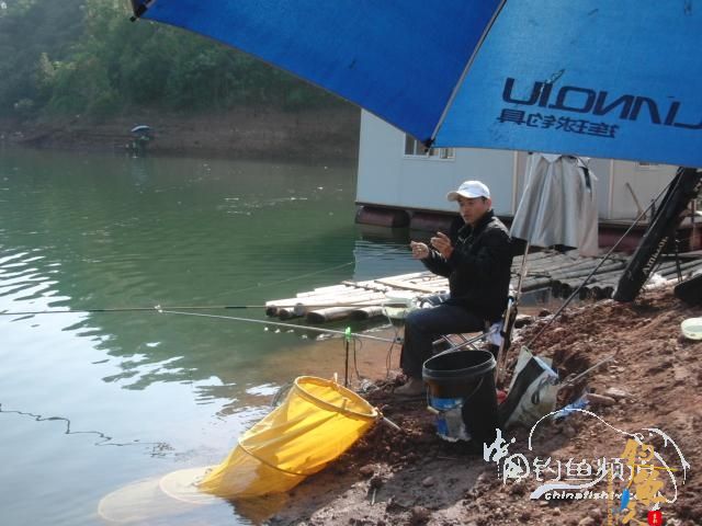 泗南江的大鱼给力 作者：xplcw