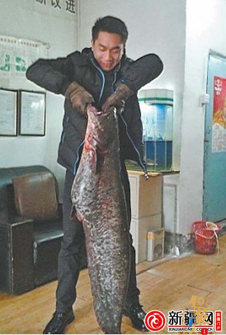 一钓成名写传奇(图)