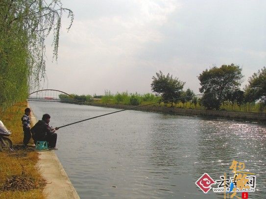 翠湖联合警方整治不文明行为,偷钓两条鲫鱼行拘10天