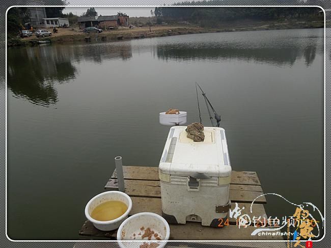 昨晚嘉和城收获大鲤（2月24日）