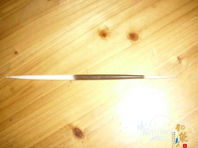 自制一款经久耐用的豪猪漂 作者：子牙之乐