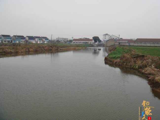 江南渔事——春钓篇：搏青记 作者：taihucuizhu3