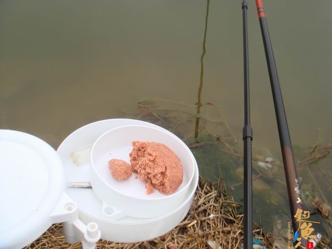 江南渔事——春钓篇：搏青记 作者：taihucuizhu3