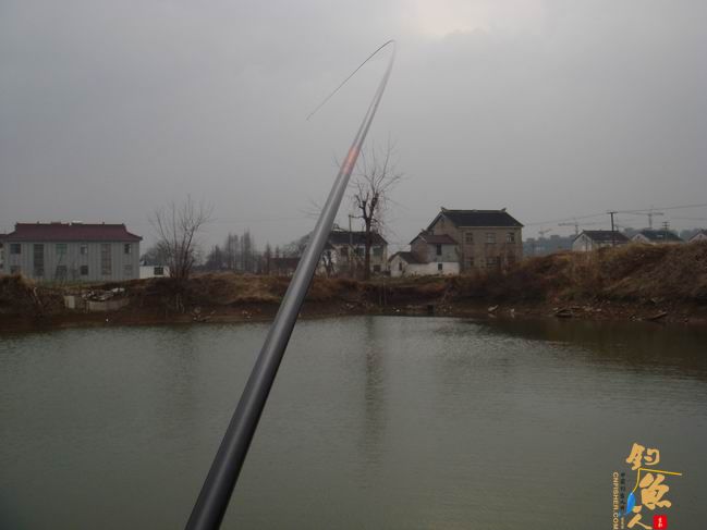 江南渔事——春钓篇：搏青记 作者：taihucuizhu3