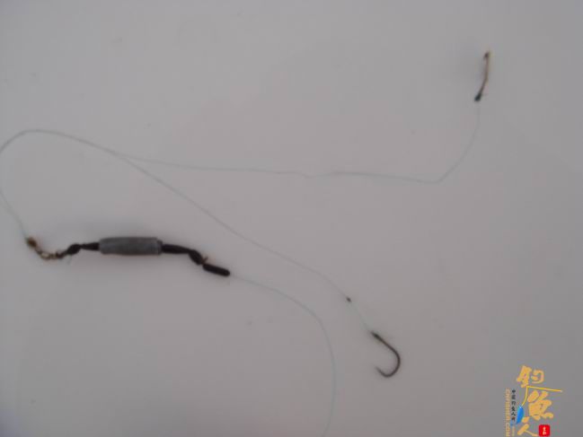 江南渔事——春钓篇：搏青记 作者：taihucuizhu3