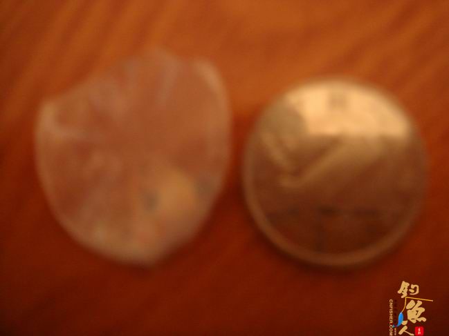 江南渔事——春钓篇：搏青记 作者：taihucuizhu3