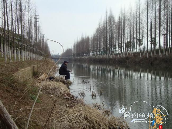 有空即钓之～二人三毛半，一人无毛还 作者：离别钩