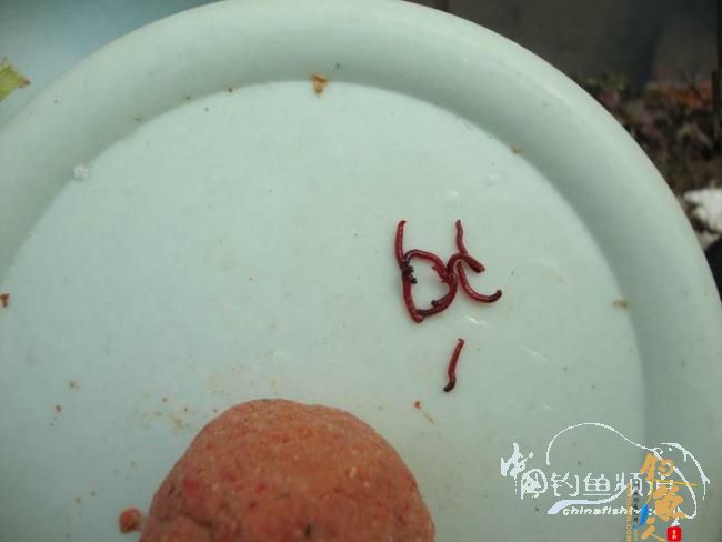 有空即钓之～二人三毛半，一人无毛还 作者：离别钩