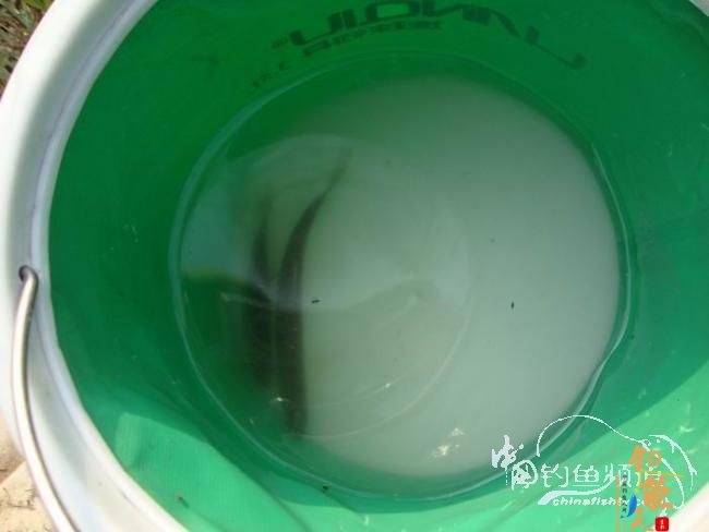 有空即钓之～二人三毛半，一人无毛还 作者：离别钩