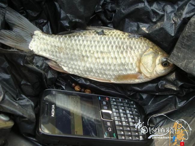 有空即钓之～二人三毛半，一人无毛还 作者：离别钩