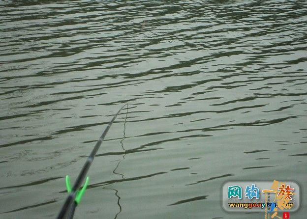 天再冷也要去钓鱼，用撞到一条大鲫鱼，湖南祁阳2月26日汇 作者：din100