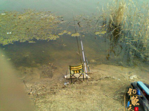 新年的第一条鱼,是这样出水的 作者:独瘹寒雪