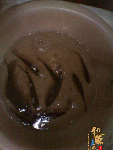 新年的第一条鱼，是这样出水的 作者：独瘹寒雪