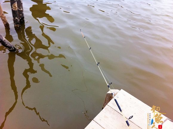 旧地重游，再战雅韶 BY：水师提督 