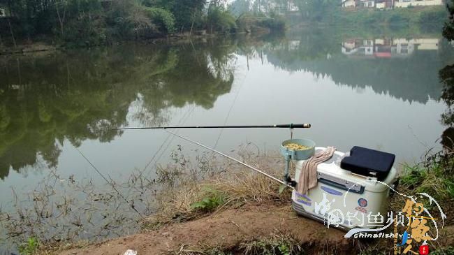 铩羽——空空可好？作者：单线双钩